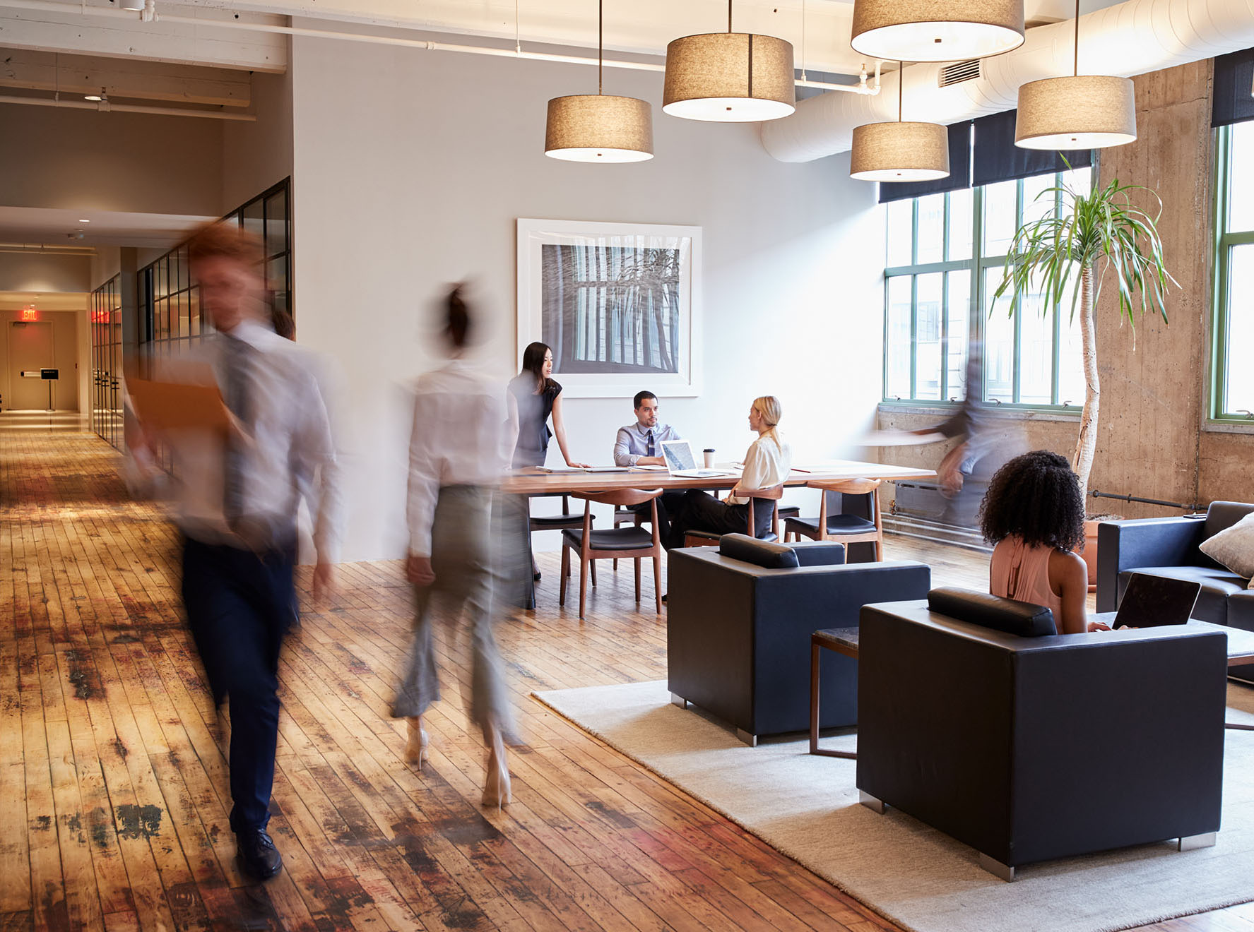 Venha trabalhar connosco!